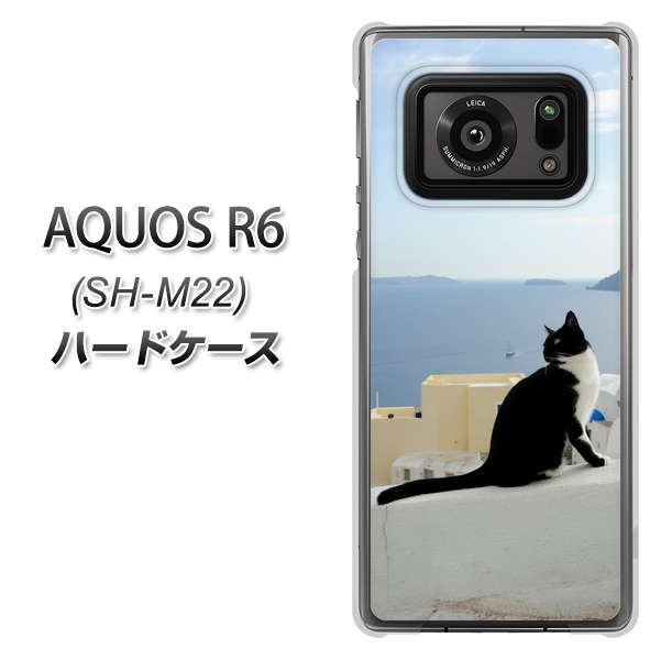 SIMフリー アクオスR6 SH-M22 高画質仕上げ 背面印刷 ハードケース【VA805 ネコと地中海】