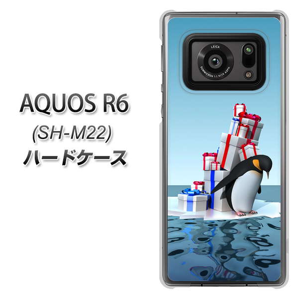 SIMフリー アクオスR6 SH-M22 高画質仕上げ 背面印刷 ハードケース【XA805 人気者は辛い…】