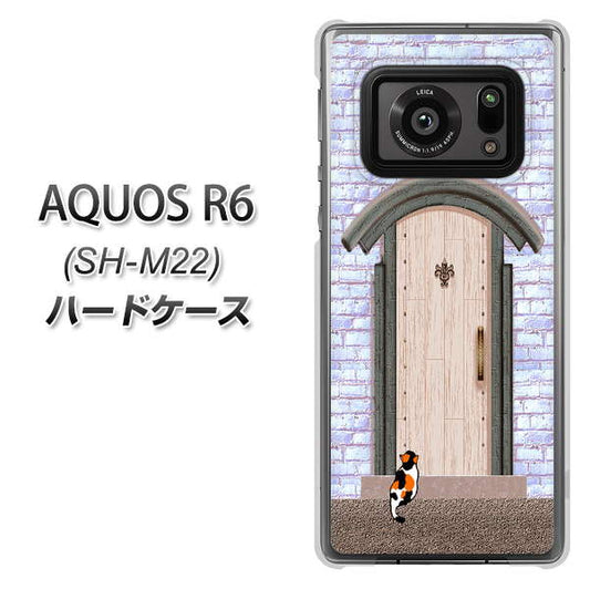 SIMフリー アクオスR6 SH-M22 高画質仕上げ 背面印刷 ハードケース【YA952 石ドア02 素材クリア】