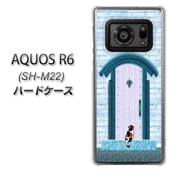 SIMフリー アクオスR6 SH-M22 高画質仕上げ 背面印刷 ハードケース【YA953 石ドア03 素材クリア】