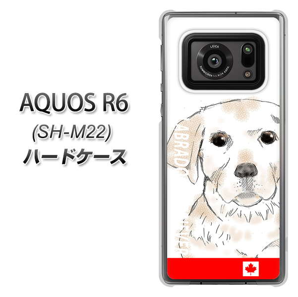 SIMフリー アクオスR6 SH-M22 高画質仕上げ 背面印刷 ハードケース【YD821 ラブラドールレトリバー02】
