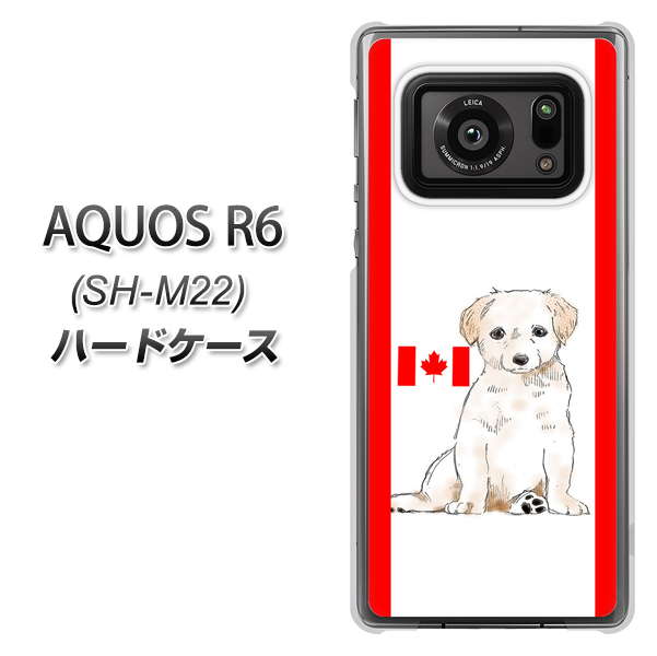 SIMフリー アクオスR6 SH-M22 高画質仕上げ 背面印刷 ハードケース【YD824 ラブラドールレトリバー05】