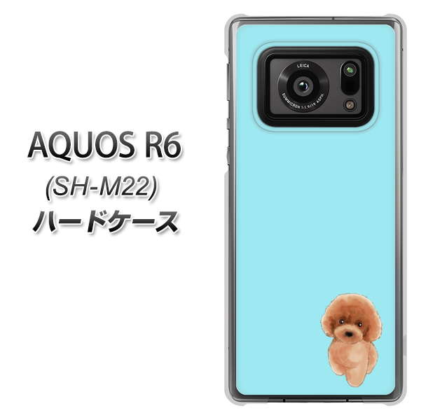 SIMフリー アクオスR6 SH-M22 高画質仕上げ 背面印刷 ハードケース【YJ050 トイプードルレッド(ブルー)】