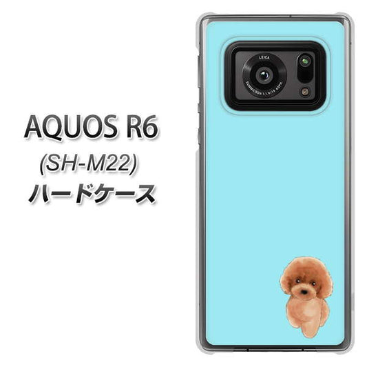 SIMフリー アクオスR6 SH-M22 高画質仕上げ 背面印刷 ハードケース【YJ050 トイプードルレッド(ブルー)】