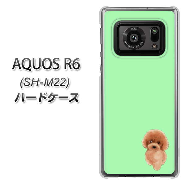 SIMフリー アクオスR6 SH-M22 高画質仕上げ 背面印刷 ハードケース【YJ052 トイプードルレッド( グリーン)】