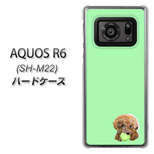 SIMフリー アクオスR6 SH-M22 高画質仕上げ 背面印刷 ハードケース【YJ055 トイプードル&ボール(グリーン)】