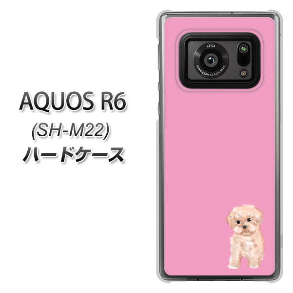 SIMフリー アクオスR6 SH-M22 高画質仕上げ 背面印刷 ハードケース【YJ061 トイプードルアプリコット(ピンク)】