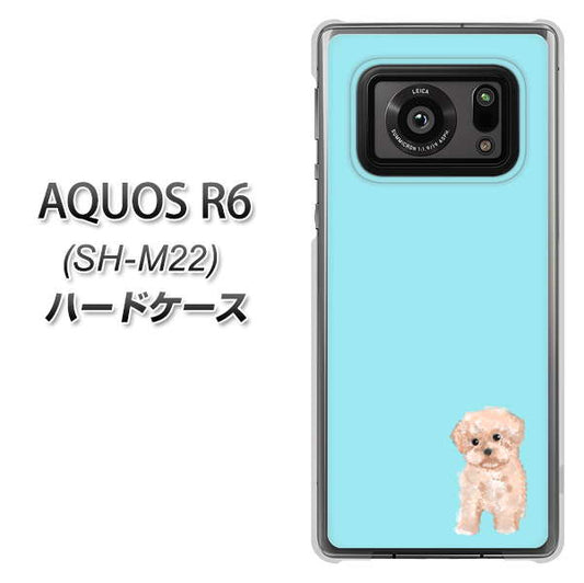 SIMフリー アクオスR6 SH-M22 高画質仕上げ 背面印刷 ハードケース【YJ062 トイプードルアプリコット(ブルー)】