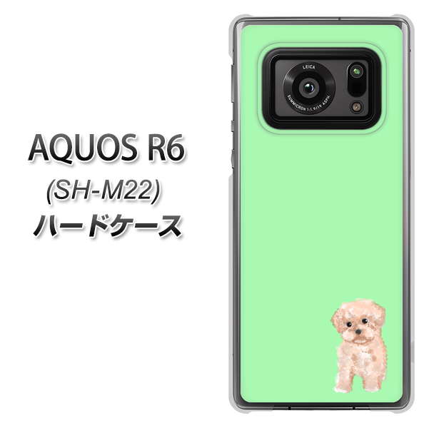 SIMフリー アクオスR6 SH-M22 高画質仕上げ 背面印刷 ハードケース【YJ063 トイプードルアプリコット(グリーン)】