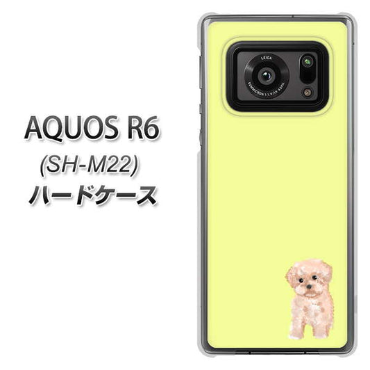 SIMフリー アクオスR6 SH-M22 高画質仕上げ 背面印刷 ハードケース【YJ064 トイプードルアプリコット(イエロー)】