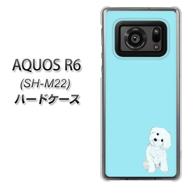 SIMフリー アクオスR6 SH-M22 高画質仕上げ 背面印刷 ハードケース【YJ070 トイプードルホワイト(ブルー)】