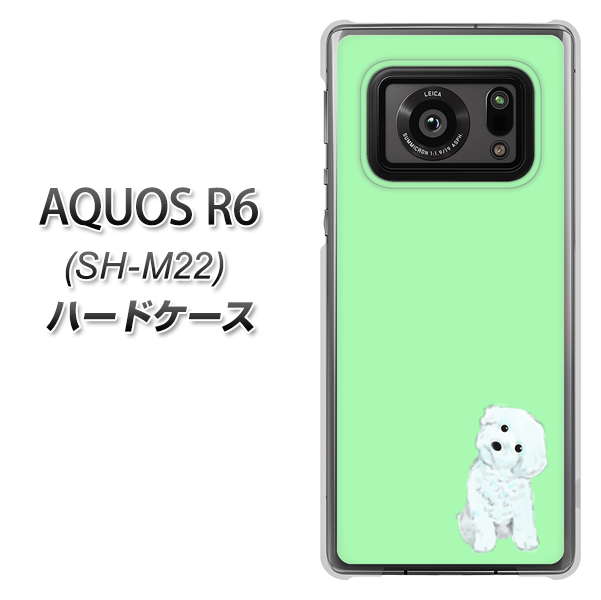 SIMフリー アクオスR6 SH-M22 高画質仕上げ 背面印刷 ハードケース【YJ071 トイプードルホワイト(グリーン)】