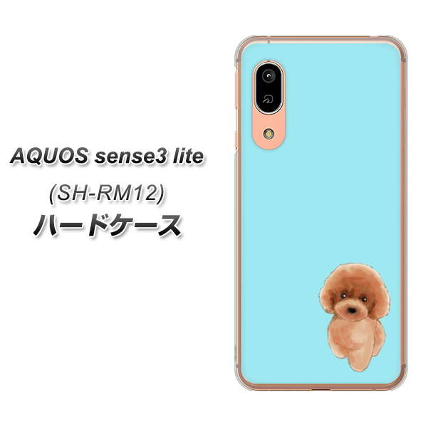 アクオス センス3 ライト SH-RM12 高画質仕上げ 背面印刷 ハードケース【YJ050 トイプードルレッド(ブルー)】