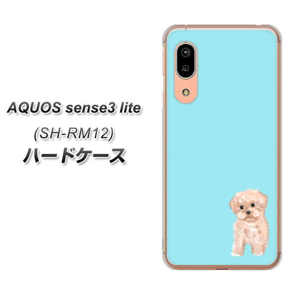 アクオス センス3 ライト SH-RM12 高画質仕上げ 背面印刷 ハードケース【YJ062 トイプードルアプリコット(ブルー)】