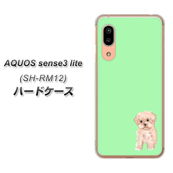 アクオス センス3 ライト SH-RM12 高画質仕上げ 背面印刷 ハードケース【YJ063 トイプードルアプリコット(グリーン)】