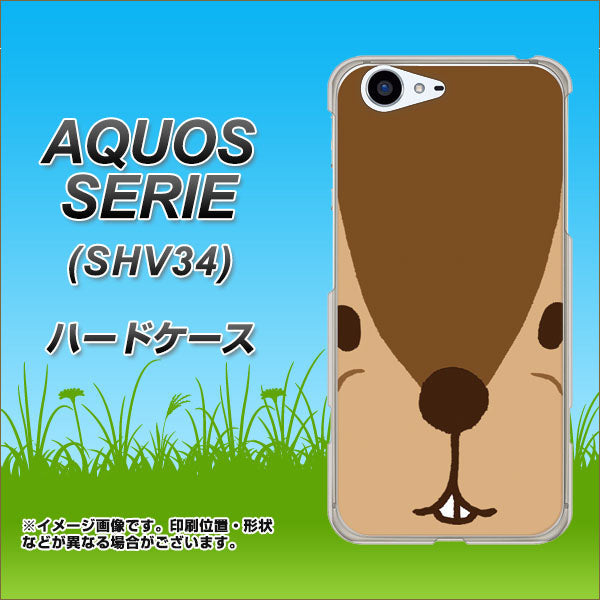 au アクオス セリエ SHV34 高画質仕上げ 背面印刷 ハードケース【349 りす】