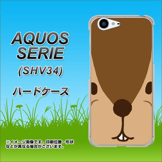 au アクオス セリエ SHV34 高画質仕上げ 背面印刷 ハードケース【349 りす】