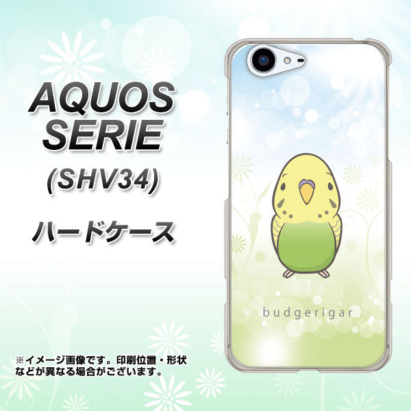 au アクオス セリエ SHV34 高画質仕上げ 背面印刷 ハードケース【SC838 セキセイインコ グリーン】