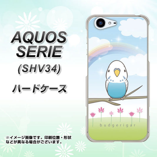 au アクオス セリエ SHV34 高画質仕上げ 背面印刷 ハードケース【SC839 セキセイインコ ブルー】