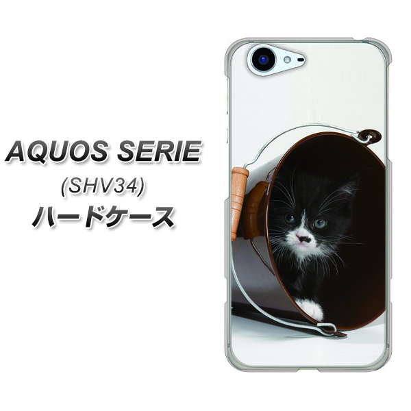 au アクオス セリエ SHV34 高画質仕上げ 背面印刷 ハードケース【VA800 ネコとバケツ】