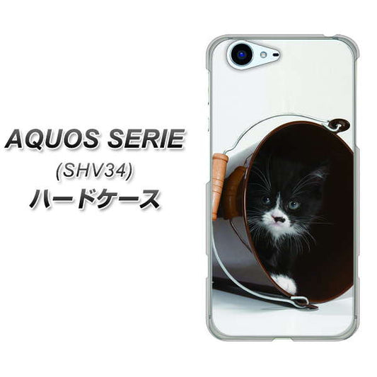 au アクオス セリエ SHV34 高画質仕上げ 背面印刷 ハードケース【VA800 ネコとバケツ】