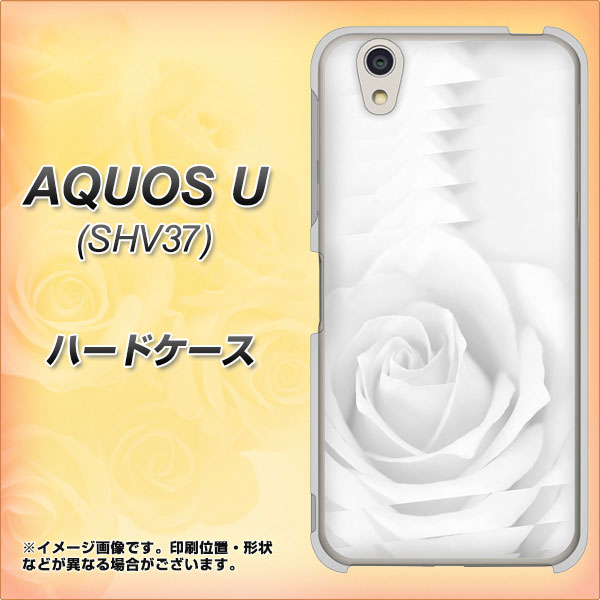 au アクオス U SHV37 高画質仕上げ 背面印刷 ハードケース【402 ホワイトRose】