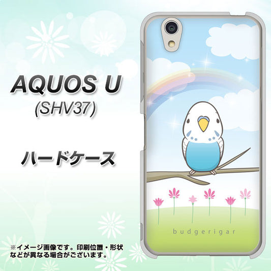 au アクオス U SHV37 高画質仕上げ 背面印刷 ハードケース【SC839 セキセイインコ ブルー】