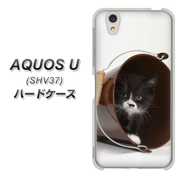 au アクオス U SHV37 高画質仕上げ 背面印刷 ハードケース【VA800 ネコとバケツ】