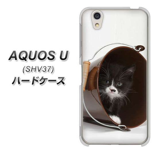 au アクオス U SHV37 高画質仕上げ 背面印刷 ハードケース【VA800 ネコとバケツ】