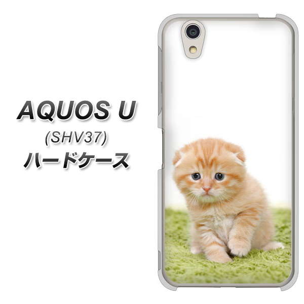 au アクオス U SHV37 高画質仕上げ 背面印刷 ハードケース【VA802 ネコこっそり】