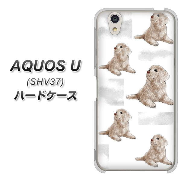 au アクオス U SHV37 高画質仕上げ 背面印刷 ハードケース【YD823 ラブラドールレトリバー04】