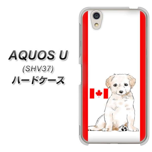au アクオス U SHV37 高画質仕上げ 背面印刷 ハードケース【YD824 ラブラドールレトリバー05】