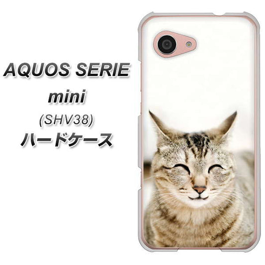 au アクオス セリエ ミニ SHV38 高画質仕上げ 背面印刷 ハードケース【VA801 笑福ねこ】