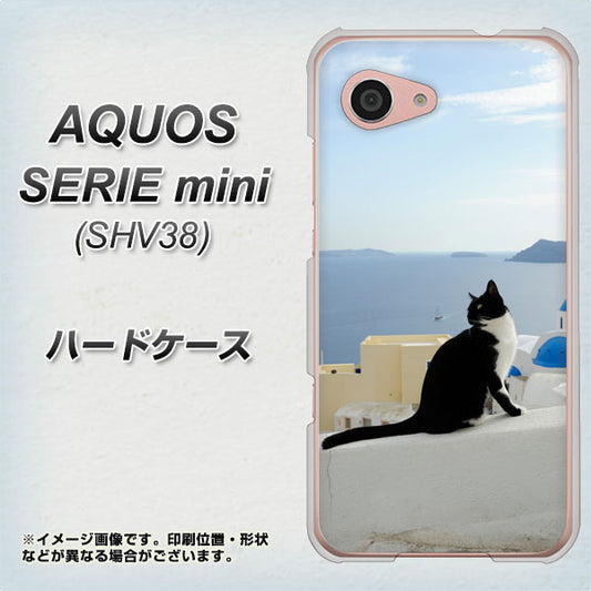 au アクオス セリエ ミニ SHV38 高画質仕上げ 背面印刷 ハードケース【VA805 ネコと地中海】