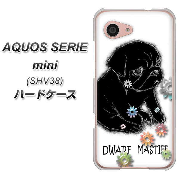 au アクオス セリエ ミニ SHV38 高画質仕上げ 背面印刷 ハードケース【YD859 パグ05】