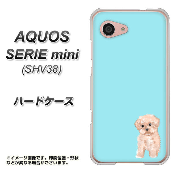 au アクオス セリエ ミニ SHV38 高画質仕上げ 背面印刷 ハードケース【YJ062 トイプードルアプリコット(ブルー)】