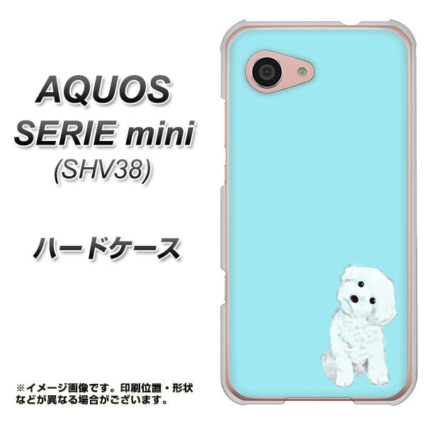 au アクオス セリエ ミニ SHV38 高画質仕上げ 背面印刷 ハードケース【YJ070 トイプードルホワイト(ブルー)】