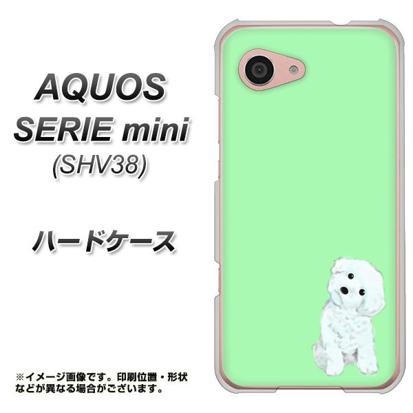 au アクオス セリエ ミニ SHV38 高画質仕上げ 背面印刷 ハードケース【YJ071 トイプードルホワイト(グリーン)】