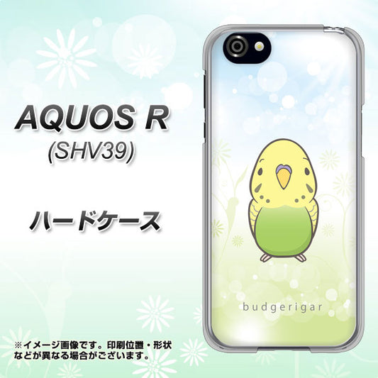 au アクオスR SHV39 高画質仕上げ 背面印刷 ハードケース【SC838 セキセイインコ グリーン】