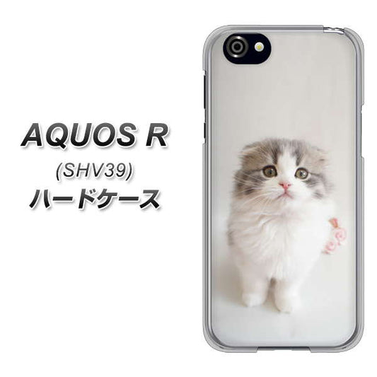 au アクオスR SHV39 高画質仕上げ 背面印刷 ハードケース【VA803 まっていますネコ】