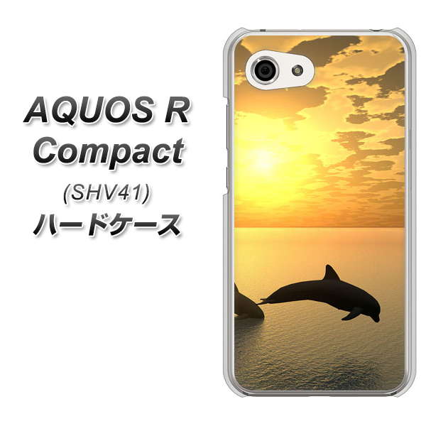 au アクオスR コンパクト SHV41 高画質仕上げ 背面印刷 ハードケース【VA845 夕暮れのドルフィン】