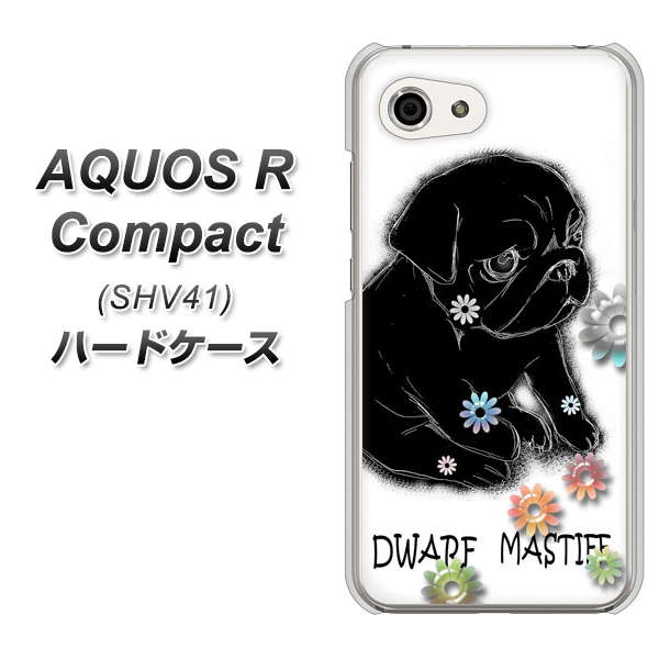 au アクオスR コンパクト SHV41 高画質仕上げ 背面印刷 ハードケース【YD859 パグ05】