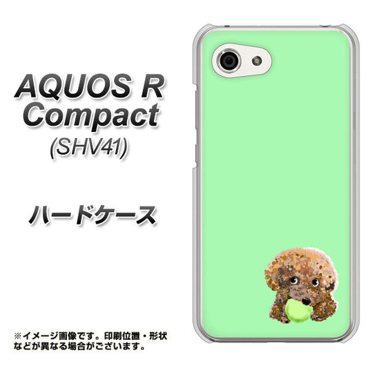 au アクオスR コンパクト SHV41 高画質仕上げ 背面印刷 ハードケース【YJ055 トイプードル&ボール(グリーン)】