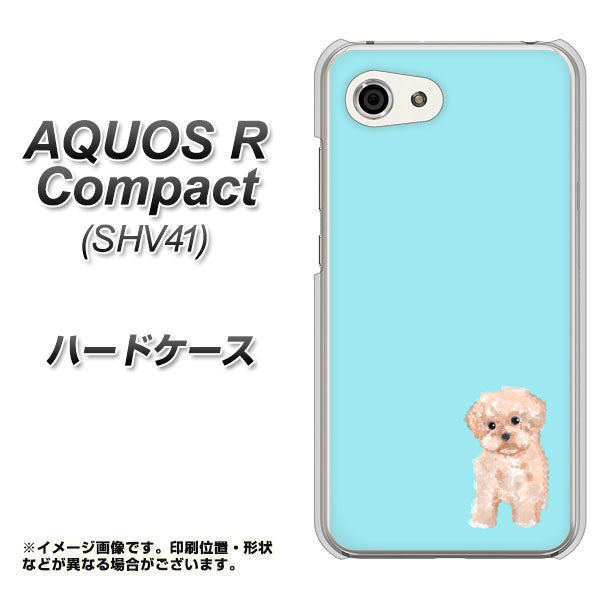 au アクオスR コンパクト SHV41 高画質仕上げ 背面印刷 ハードケース【YJ062 トイプードルアプリコット(ブルー)】