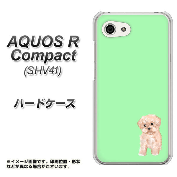 au アクオスR コンパクト SHV41 高画質仕上げ 背面印刷 ハードケース【YJ063 トイプードルアプリコット(グリーン)】