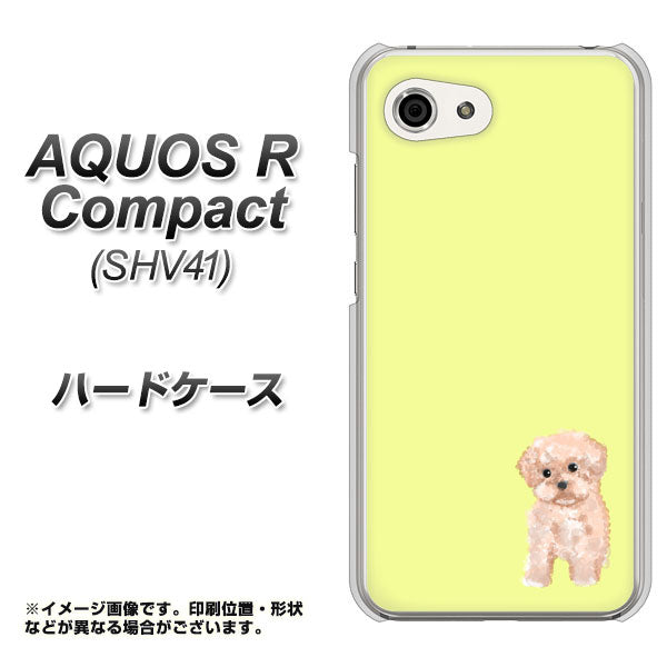au アクオスR コンパクト SHV41 高画質仕上げ 背面印刷 ハードケース【YJ064 トイプードルアプリコット(イエロー)】