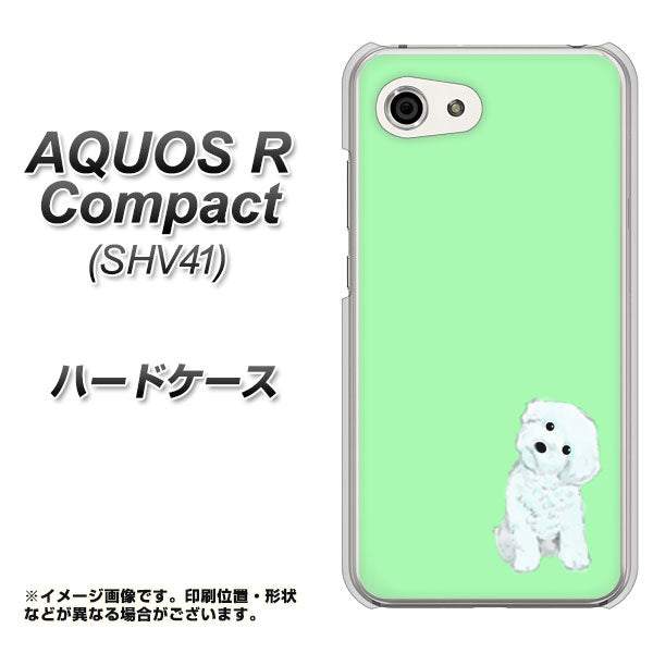 au アクオスR コンパクト SHV41 高画質仕上げ 背面印刷 ハードケース【YJ071 トイプードルホワイト(グリーン)】