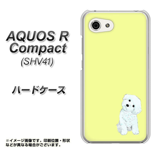 au アクオスR コンパクト SHV41 高画質仕上げ 背面印刷 ハードケース【YJ072 トイプードルホワイト(イエロー)】