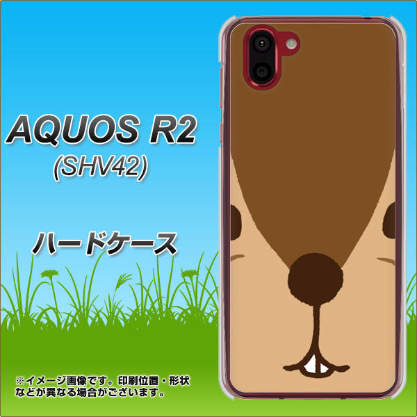 au アクオス R2 SHV42 高画質仕上げ 背面印刷 ハードケース【349 りす】