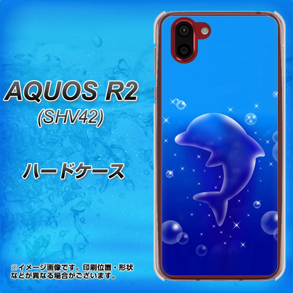 au アクオス R2 SHV42 高画質仕上げ 背面印刷 ハードケース【1046 イルカのお昼寝】